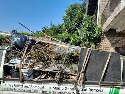 Best Hoarding Cleanup  in Beulah, ND