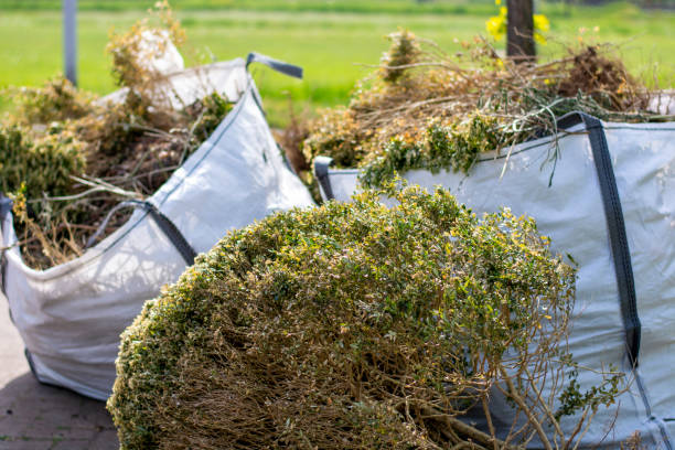 Best Electronics and E-Waste Disposal  in Beulah, ND